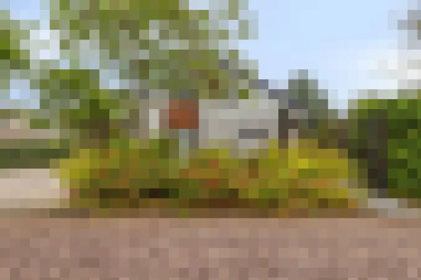 Kokmeeuwstraat 12 Zierikzee thumbnail 66