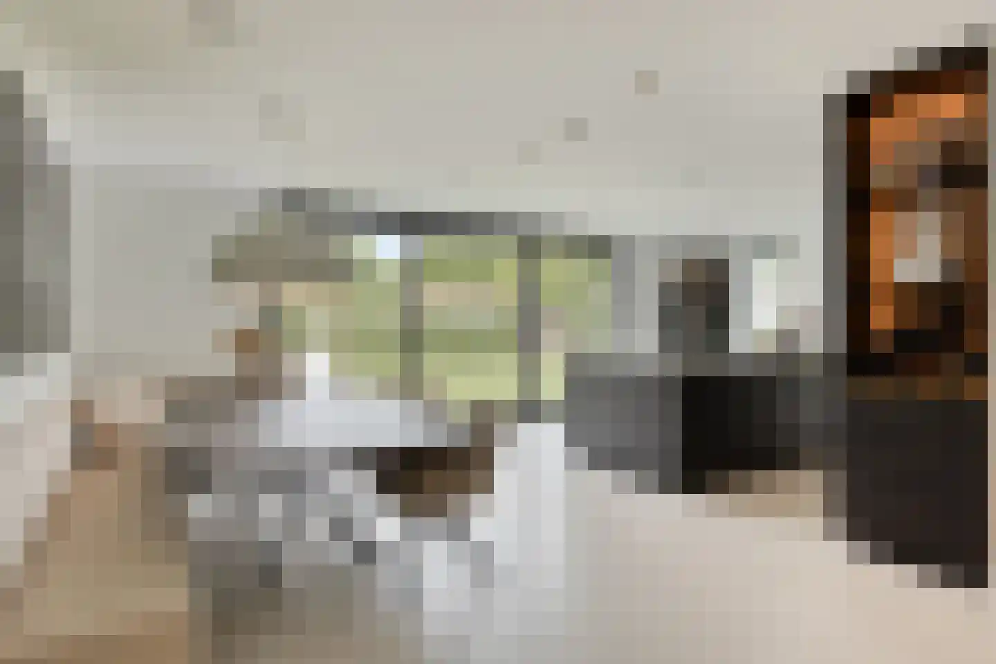 Kokmeeuwstraat 12 Zierikzee thumbnail 9