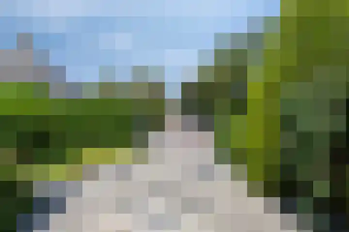 Kokmeeuwstraat 19 Zierikzee thumbnail 33
