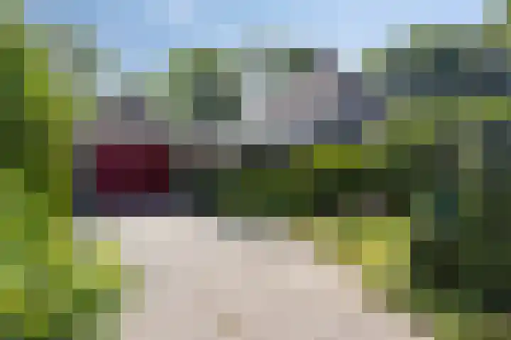 Kokmeeuwstraat 19 Zierikzee thumbnail 36