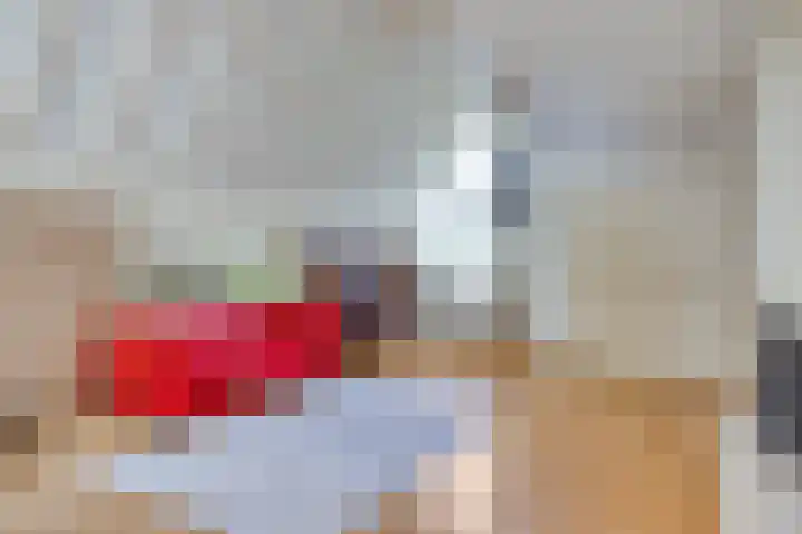 Kokmeeuwstraat 19 Zierikzee thumbnail 6