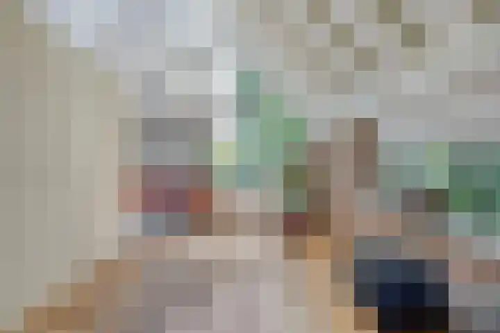 Kokmeeuwstraat 19 Zierikzee thumbnail 7