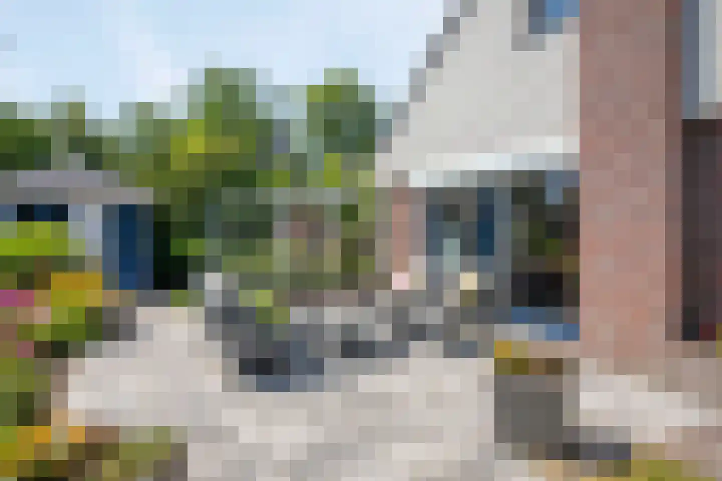 Kokmeeuwstraat 59 Zierikzee thumbnail 31