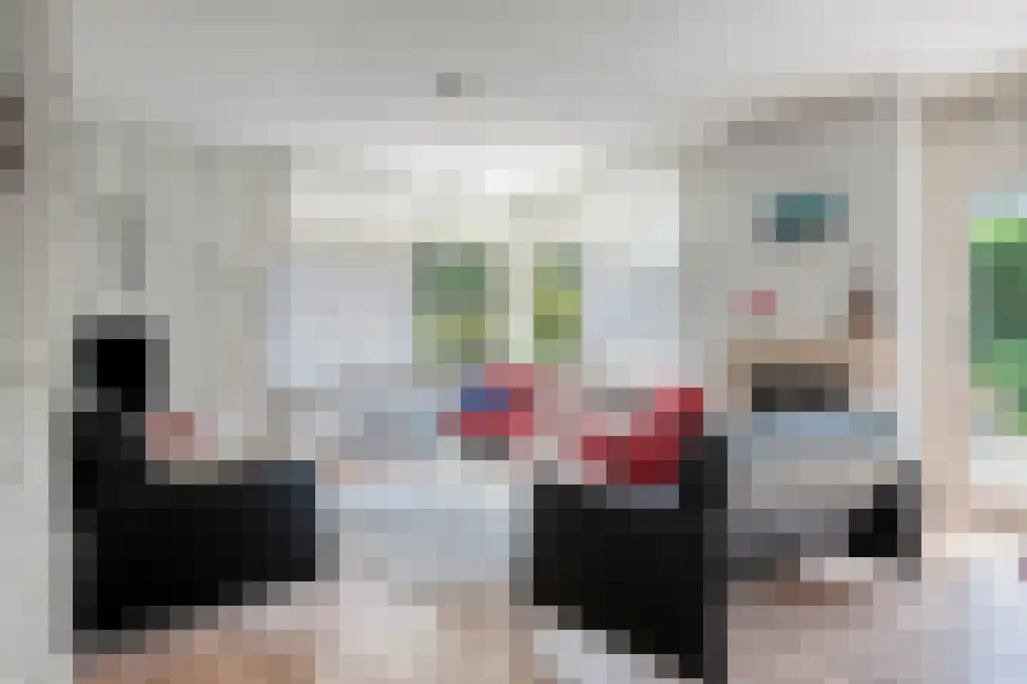Kokmeeuwstraat 59 Zierikzee thumbnail 4