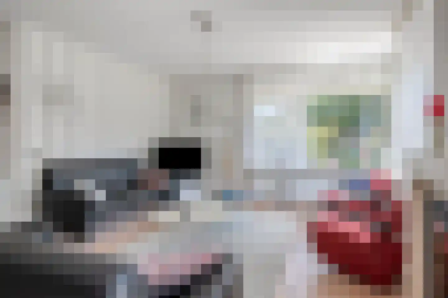 Kokmeeuwstraat 59 Zierikzee thumbnail 6