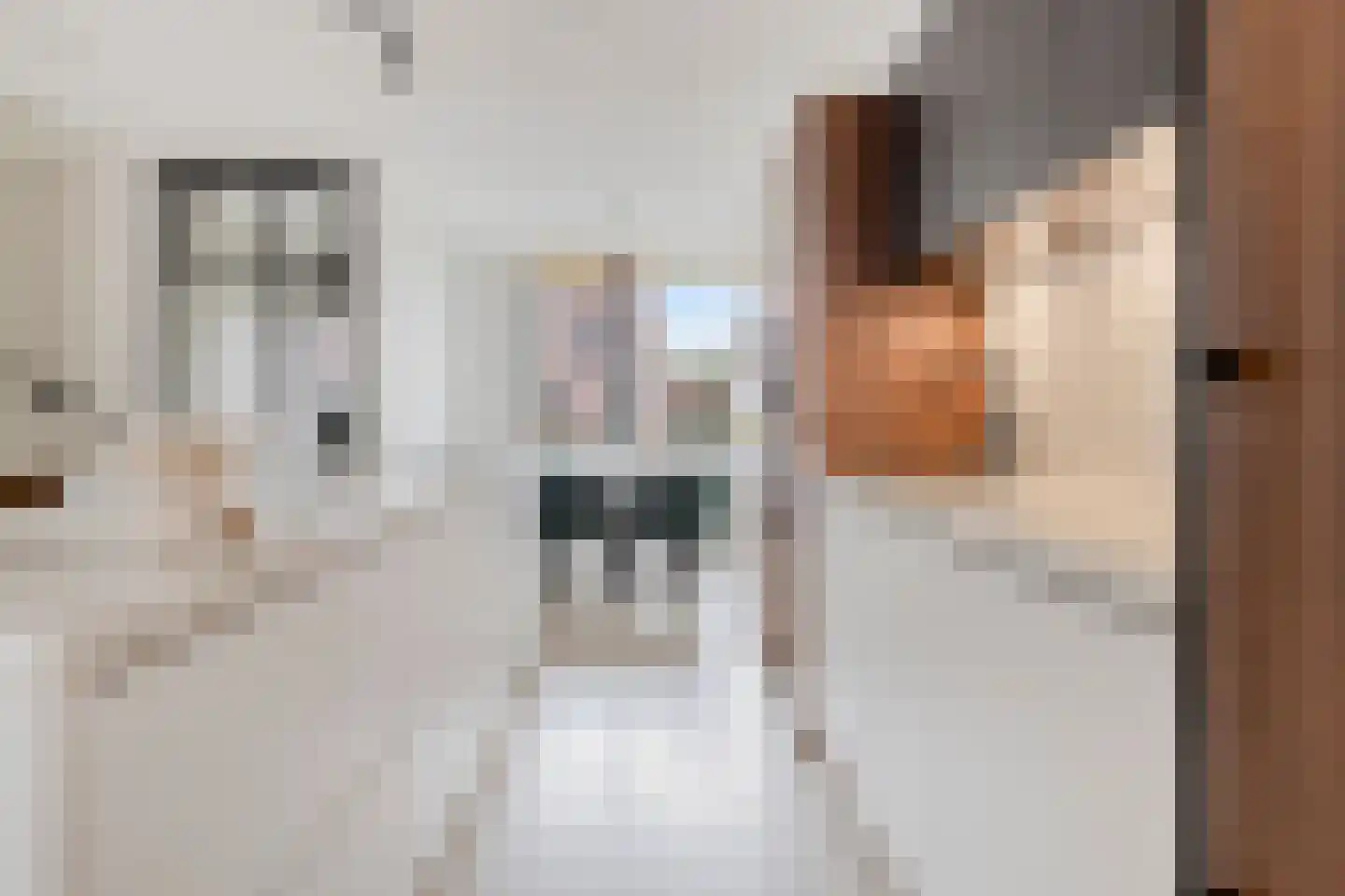 Kokos 18 Goirle thumbnail 13