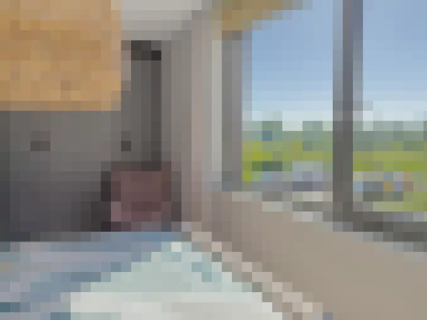 Kokos 18 Goirle thumbnail 19