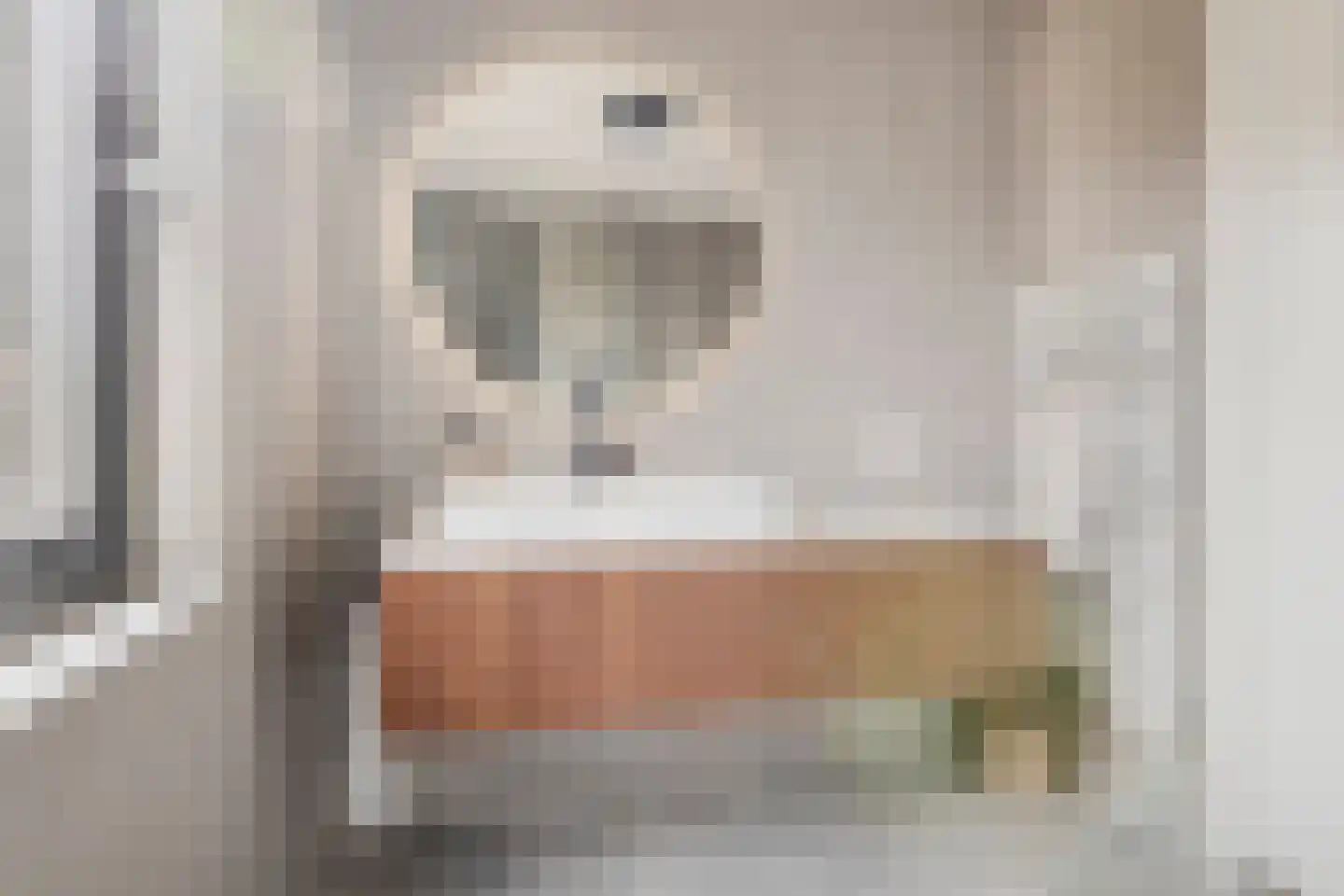 Kokos 18 Goirle thumbnail 22