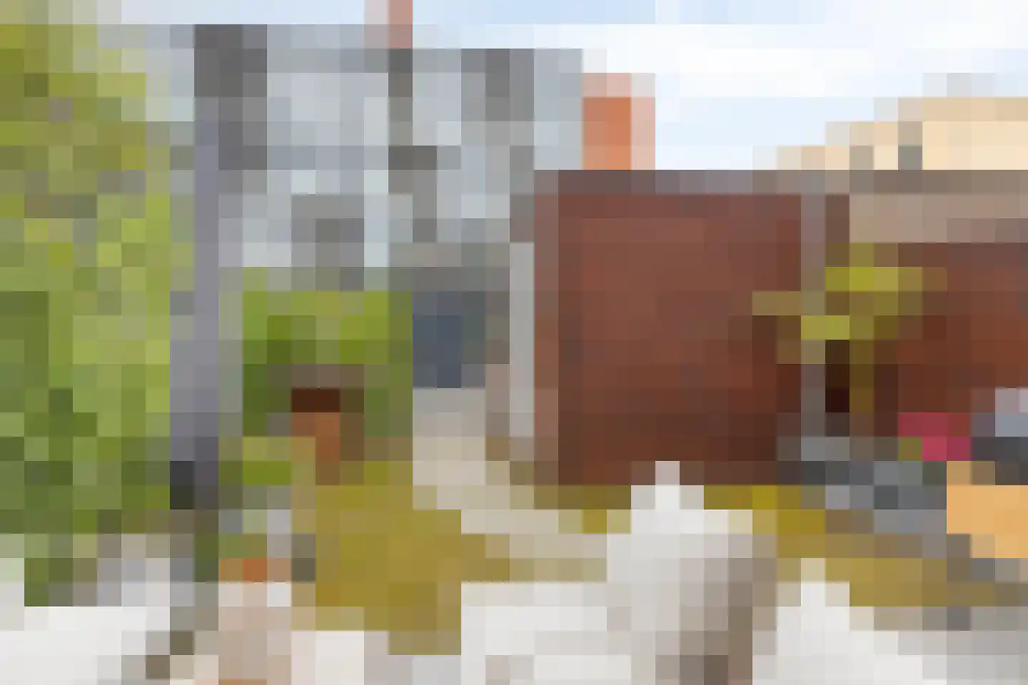 Kokos 18 Goirle thumbnail 35
