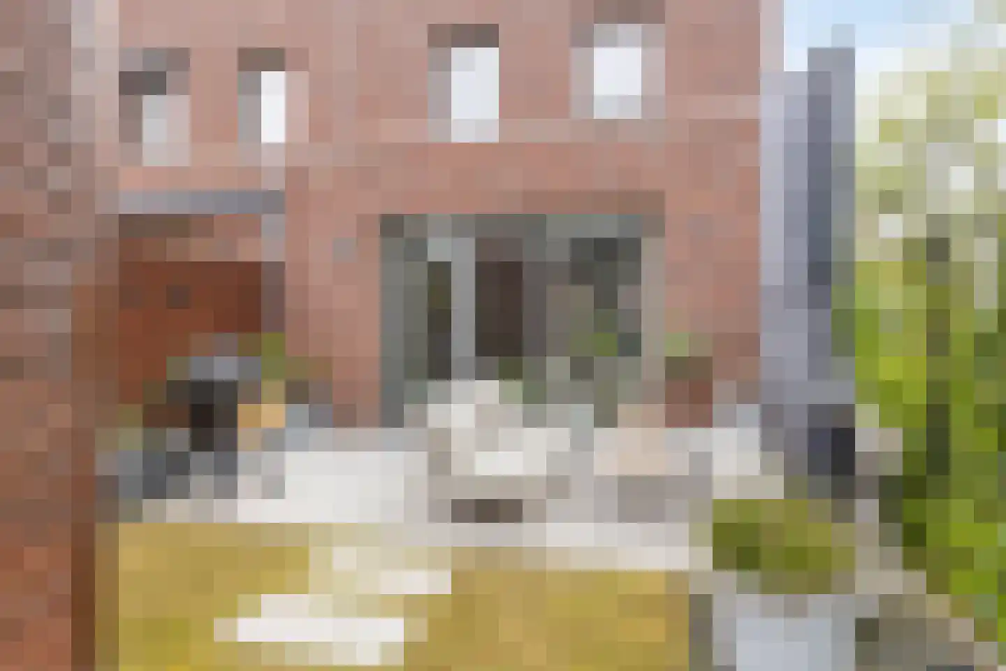 Kokos 18 Goirle thumbnail 36