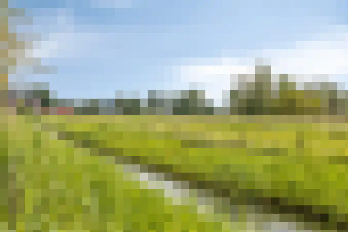Kokos 18 Goirle thumbnail 42