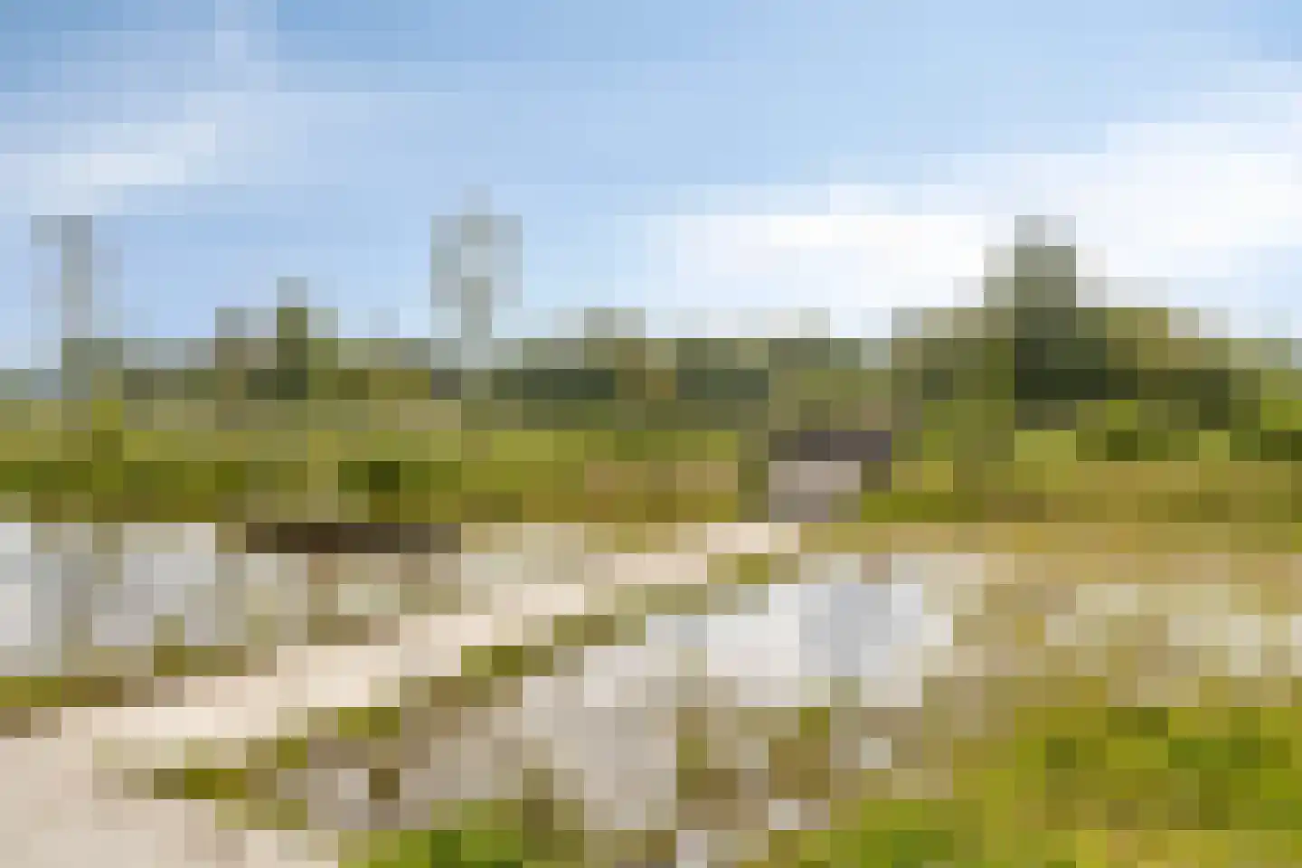 Kokos 18 Goirle thumbnail 43