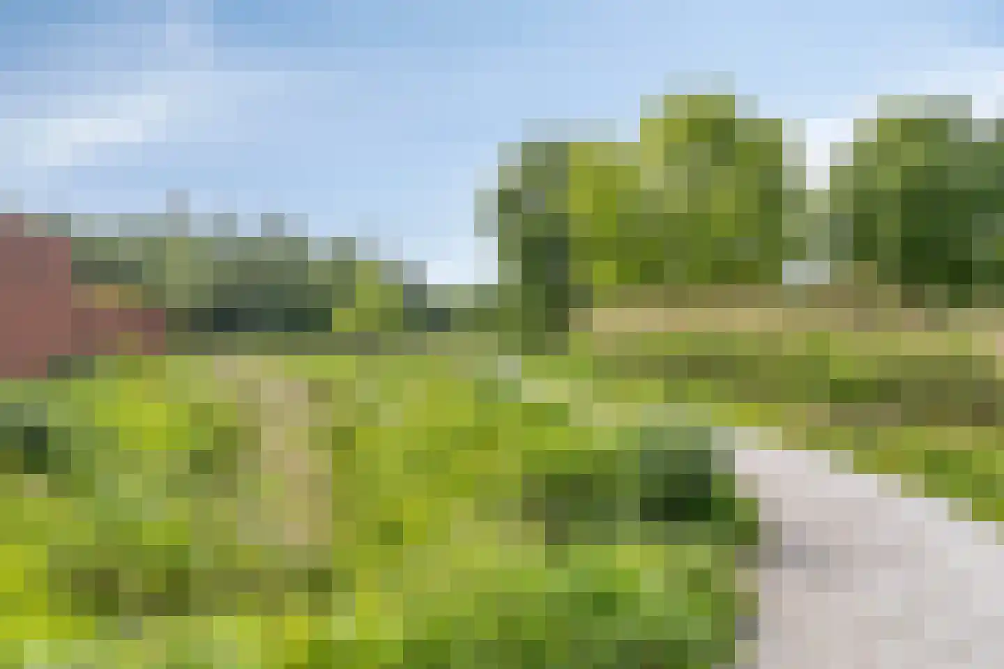 Kokos 18 Goirle thumbnail 44
