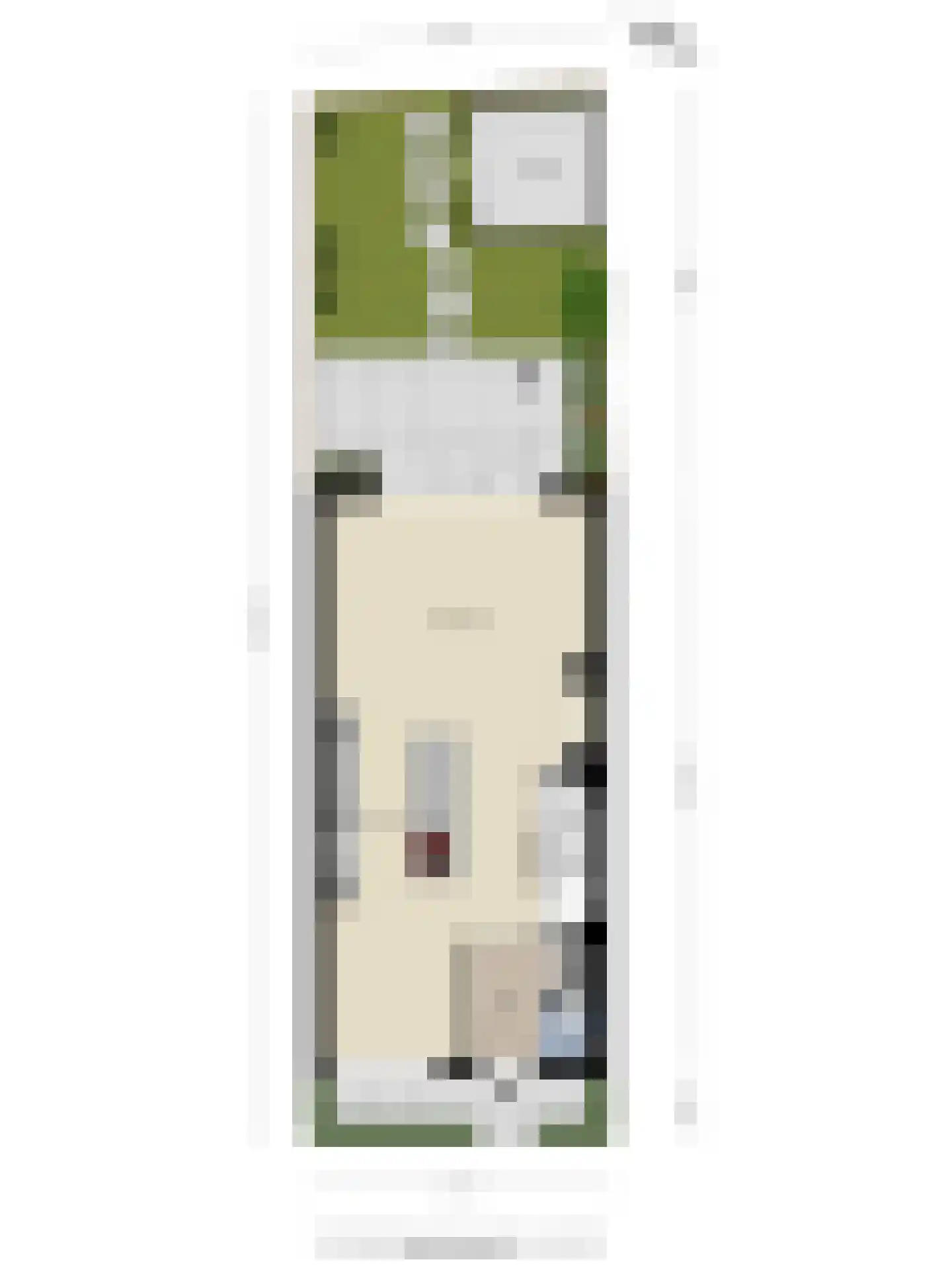 Kokos 18 Goirle thumbnail 51