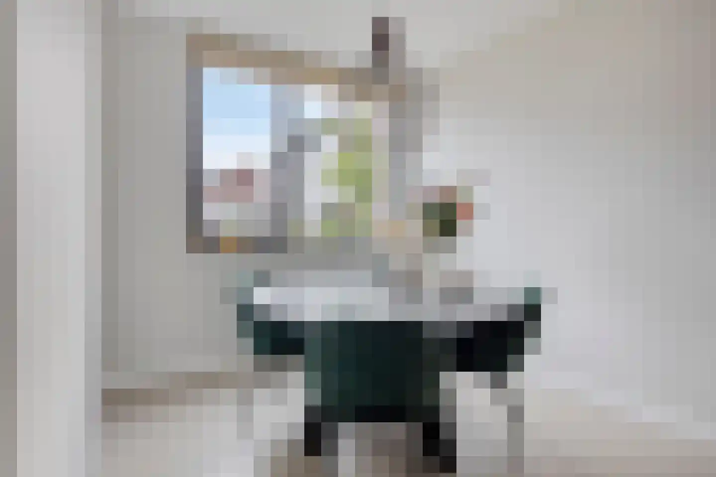 Kokos 18 Goirle thumbnail 7