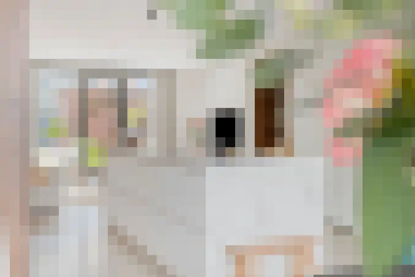 Kokos 18 Goirle thumbnail 9
