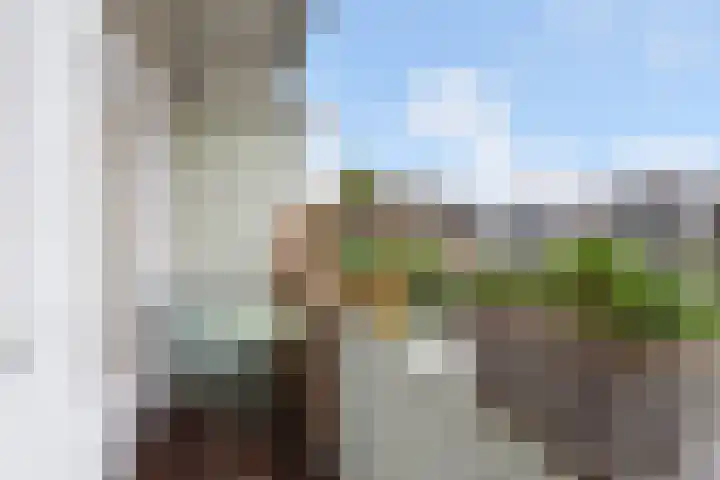 Kokosnootstraat 17 Den Haag thumbnail 14