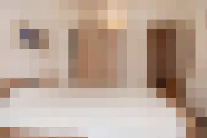 Kokosnootstraat 17 Den Haag thumbnail 22