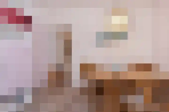 Kokosnootstraat 17 Den Haag thumbnail 9