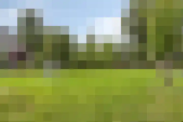 Kokospalmhof 22 Amsterdam thumbnail 33