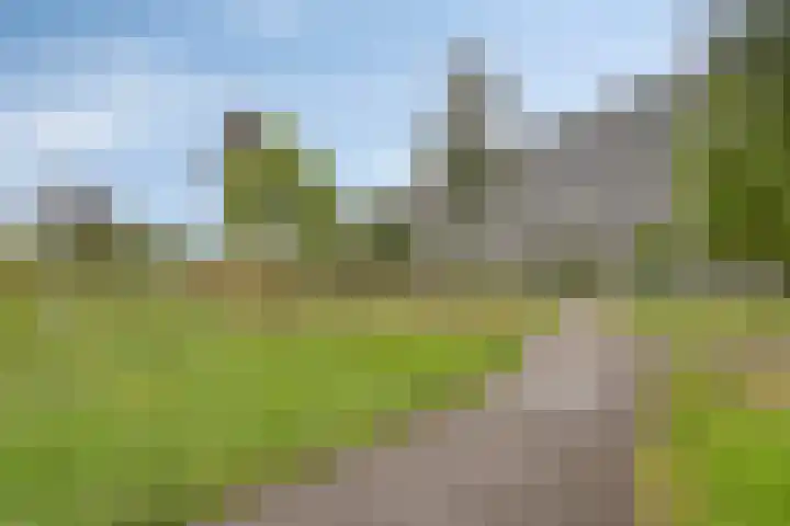 Kokospalmhof 22 Amsterdam thumbnail 34
