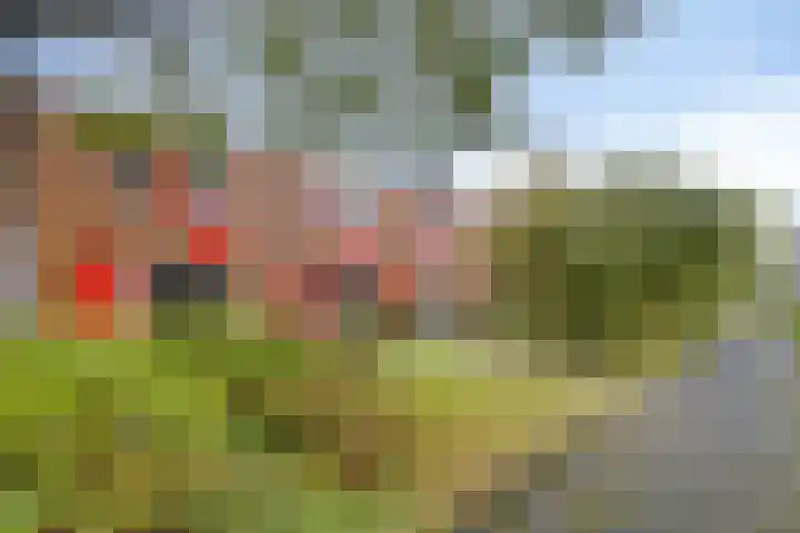Kokospalmhof 22 Amsterdam thumbnail 6