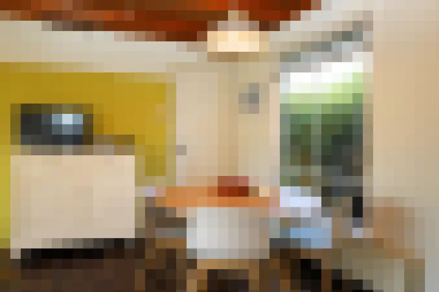 Koksbosweg 11 Formerum thumbnail 10