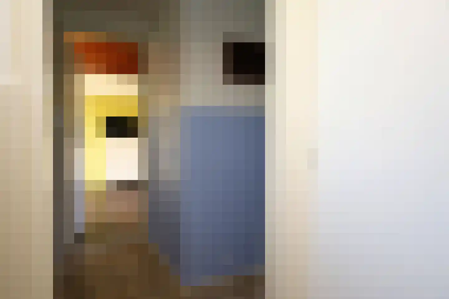 Koksbosweg 11 Formerum thumbnail 15