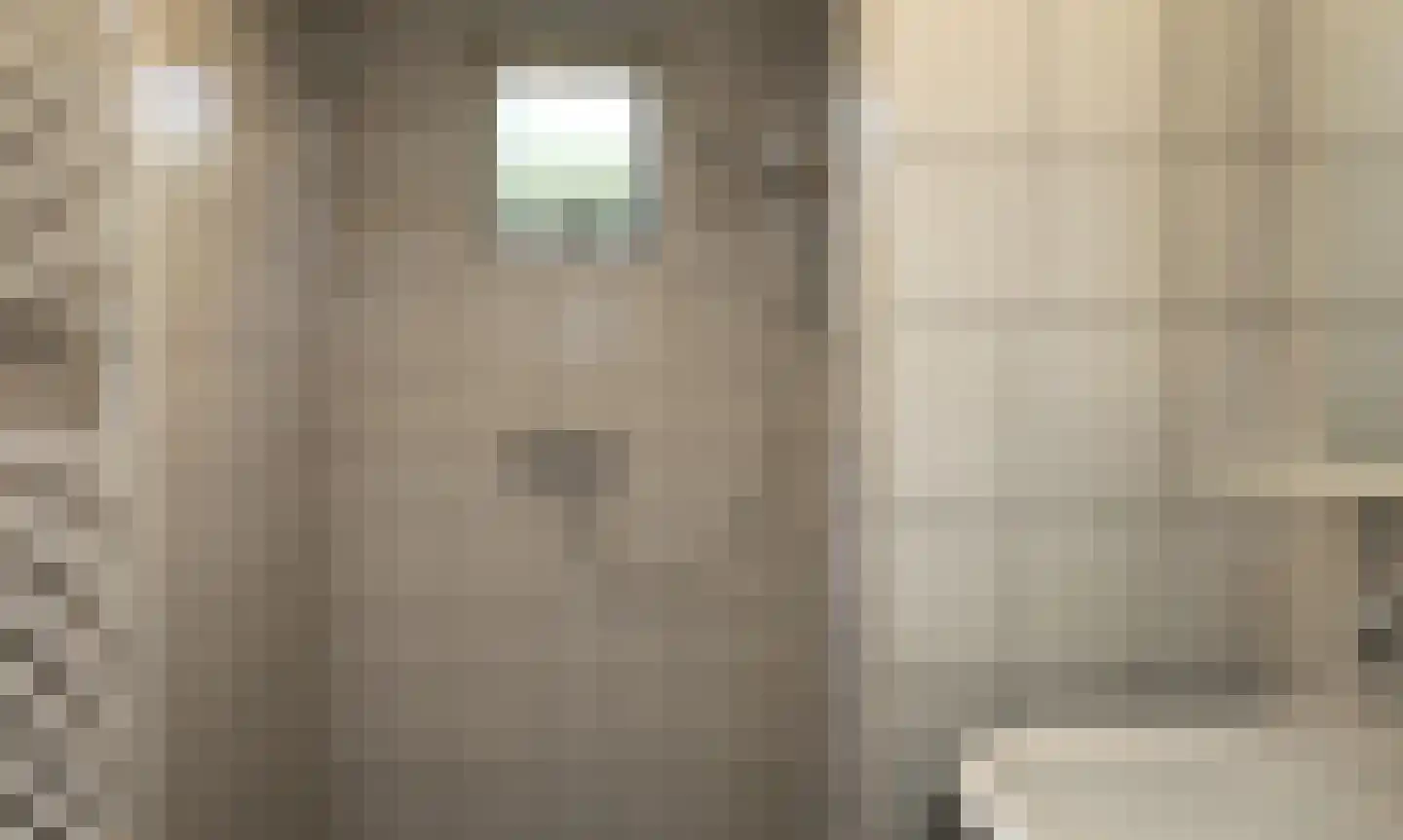 Koksbosweg 11 Formerum thumbnail 17
