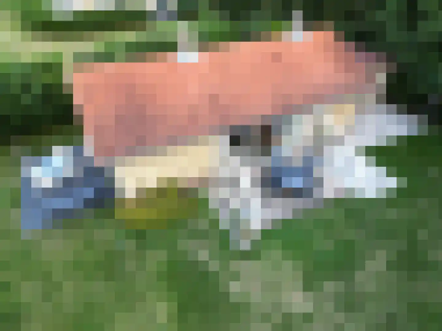 Koksbosweg 11 Formerum thumbnail 19
