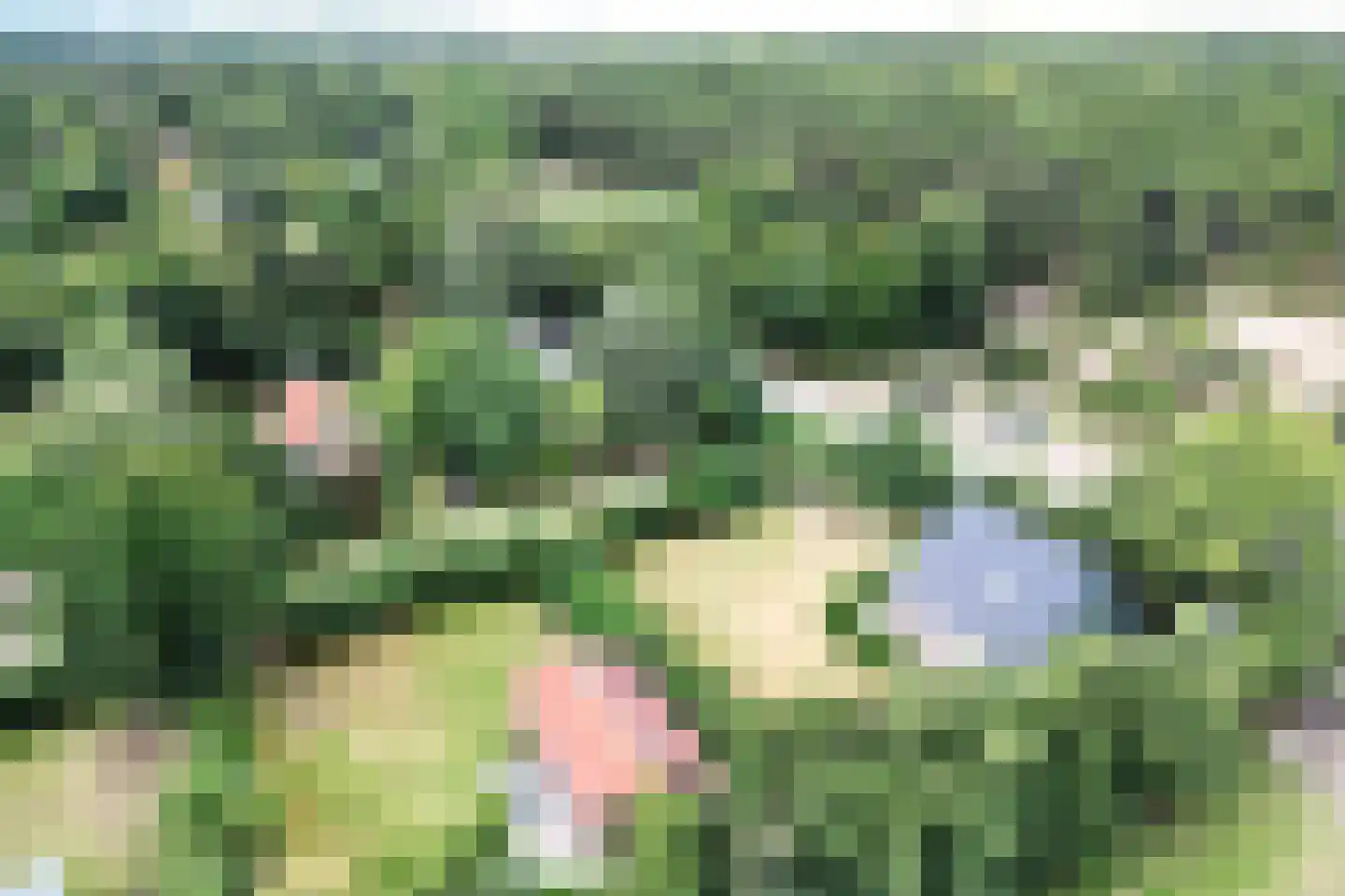 Koksbosweg 11 Formerum thumbnail 20