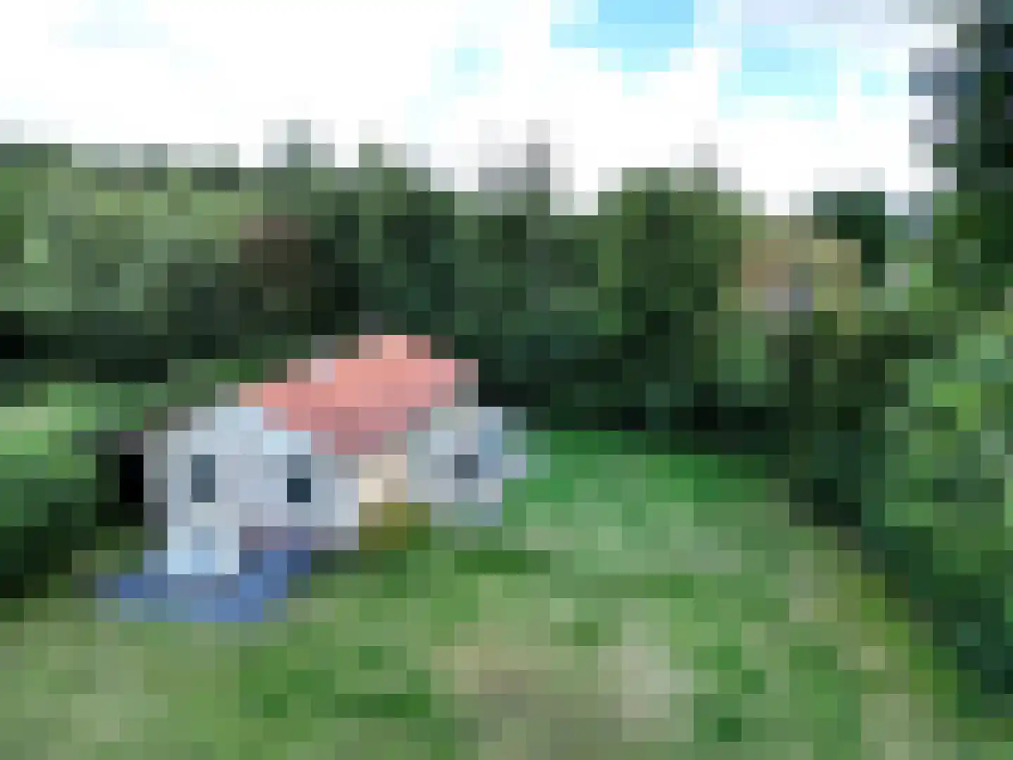 Koksbosweg 11 Formerum thumbnail 21