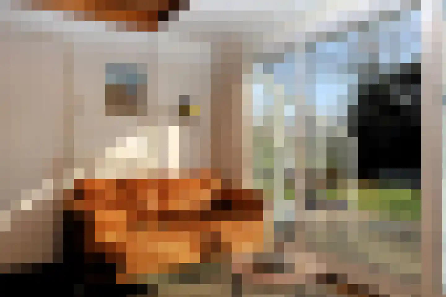 Koksbosweg 11 Formerum thumbnail 8