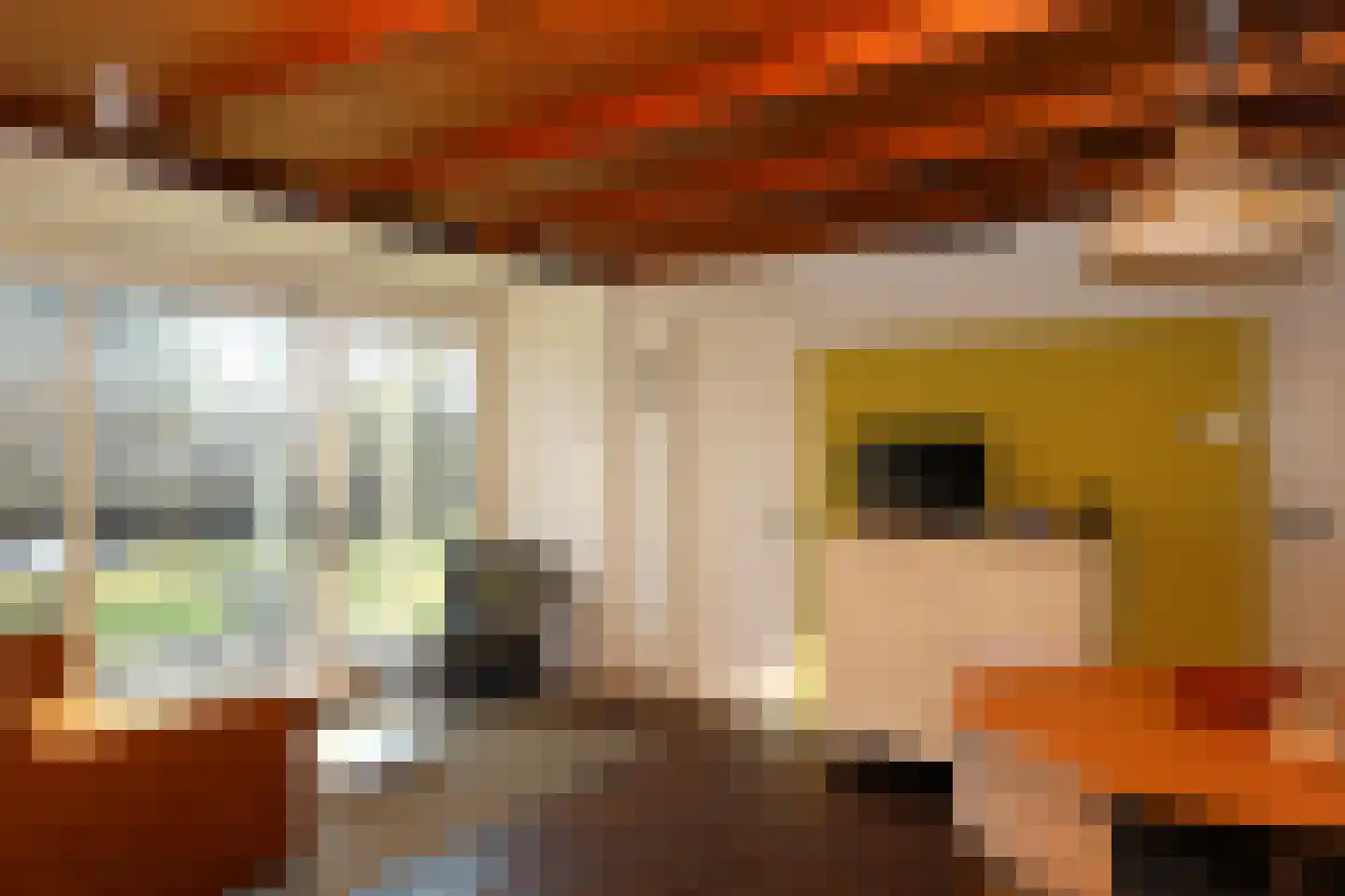 Koksbosweg 11 Formerum thumbnail 9