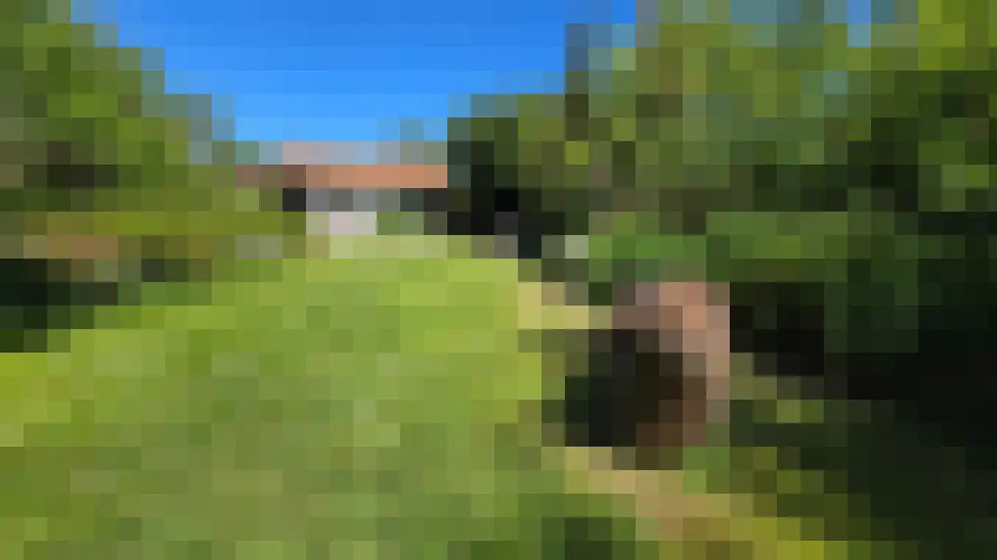 Koksbosweg 21 Formerum thumbnail 20