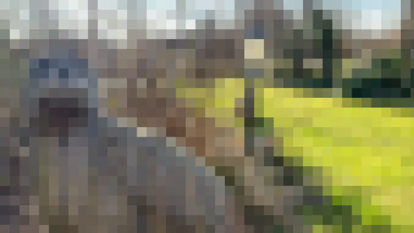 Koksbosweg 21 Formerum thumbnail 23