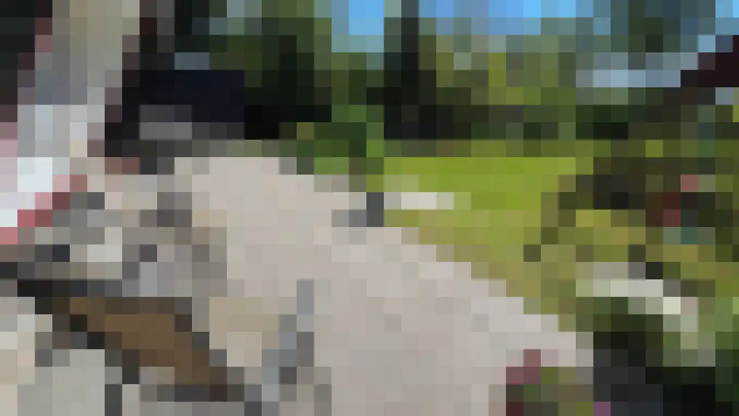 Koksbosweg 21 Formerum thumbnail 26