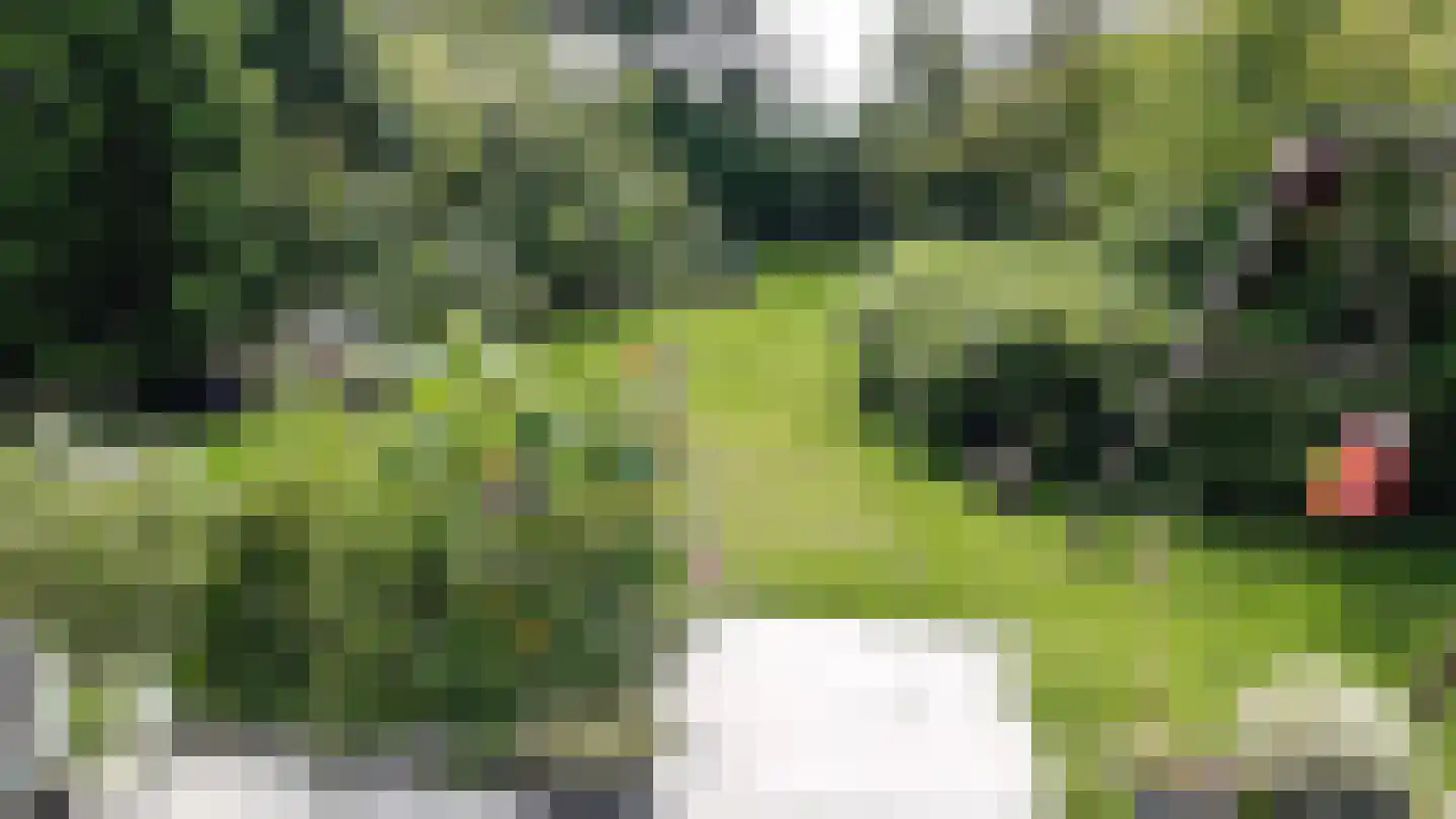 Koksbosweg 21 Formerum thumbnail 26