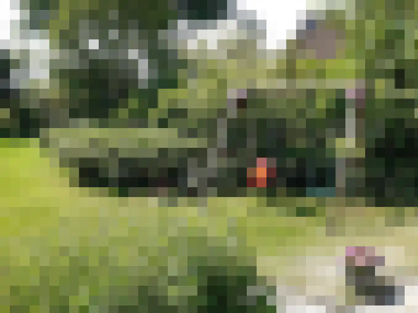 Koksbosweg 21 Formerum thumbnail 27