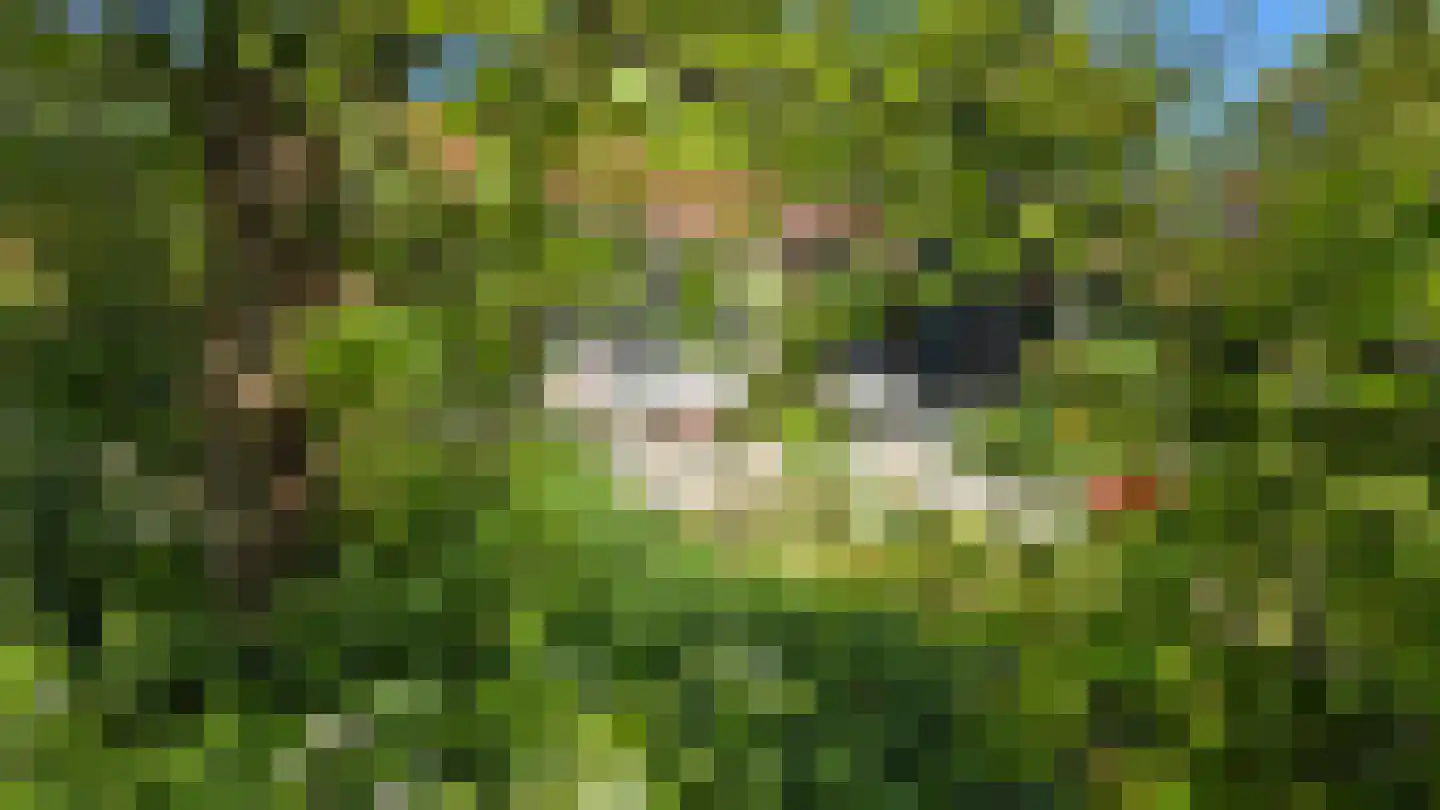 Koksbosweg 21 Formerum thumbnail 29