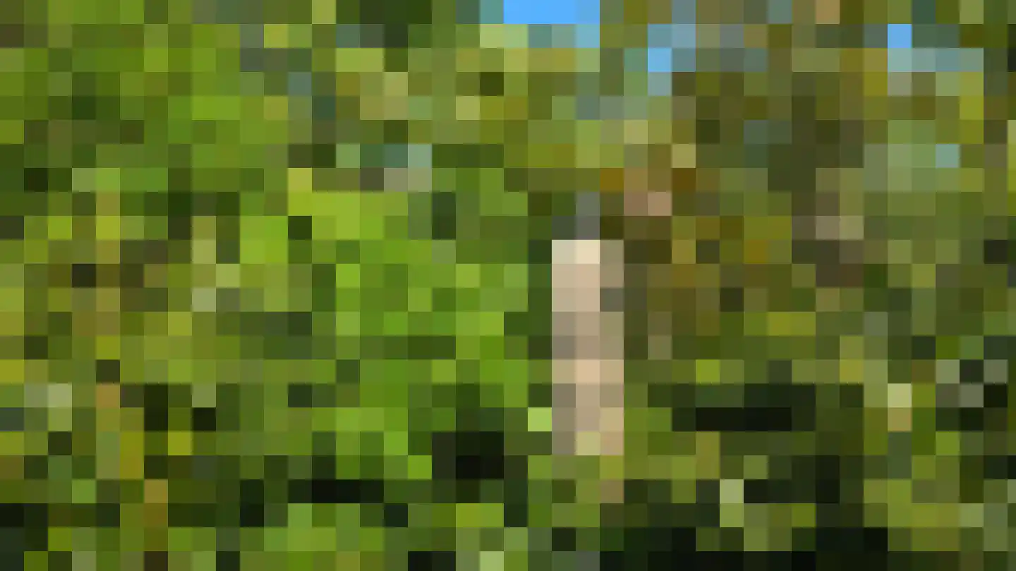 Koksbosweg 21 Formerum thumbnail 30