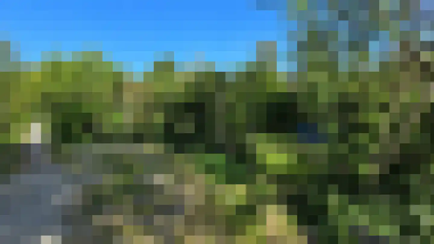 Koksbosweg 21 Formerum thumbnail 31