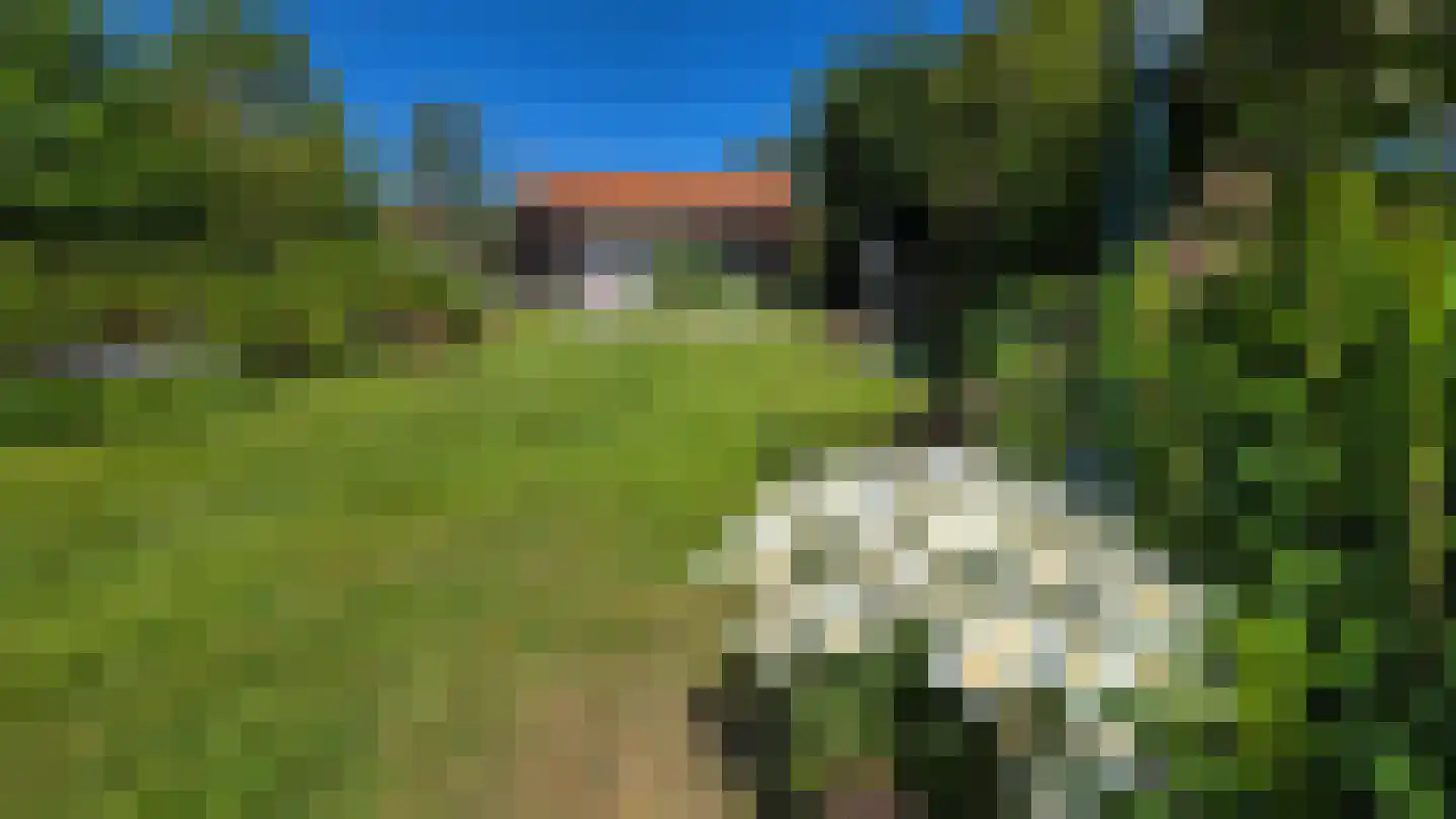 Koksbosweg 21 Formerum thumbnail 4