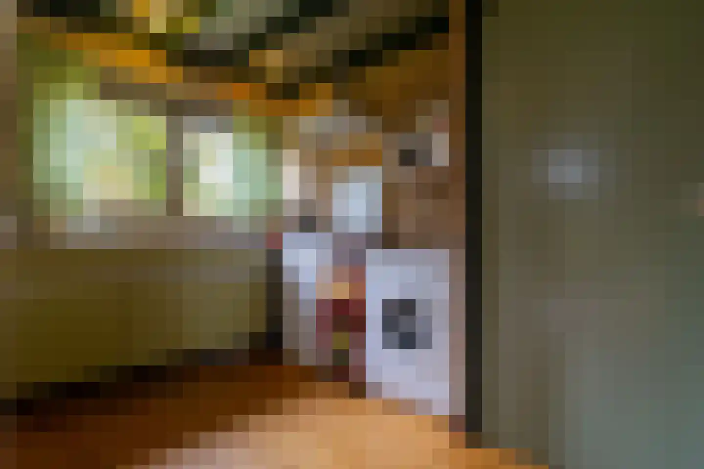 Koksbosweg 37 Formerum thumbnail 13