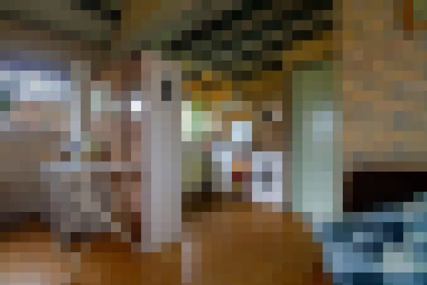 Koksbosweg 37 Formerum thumbnail 14