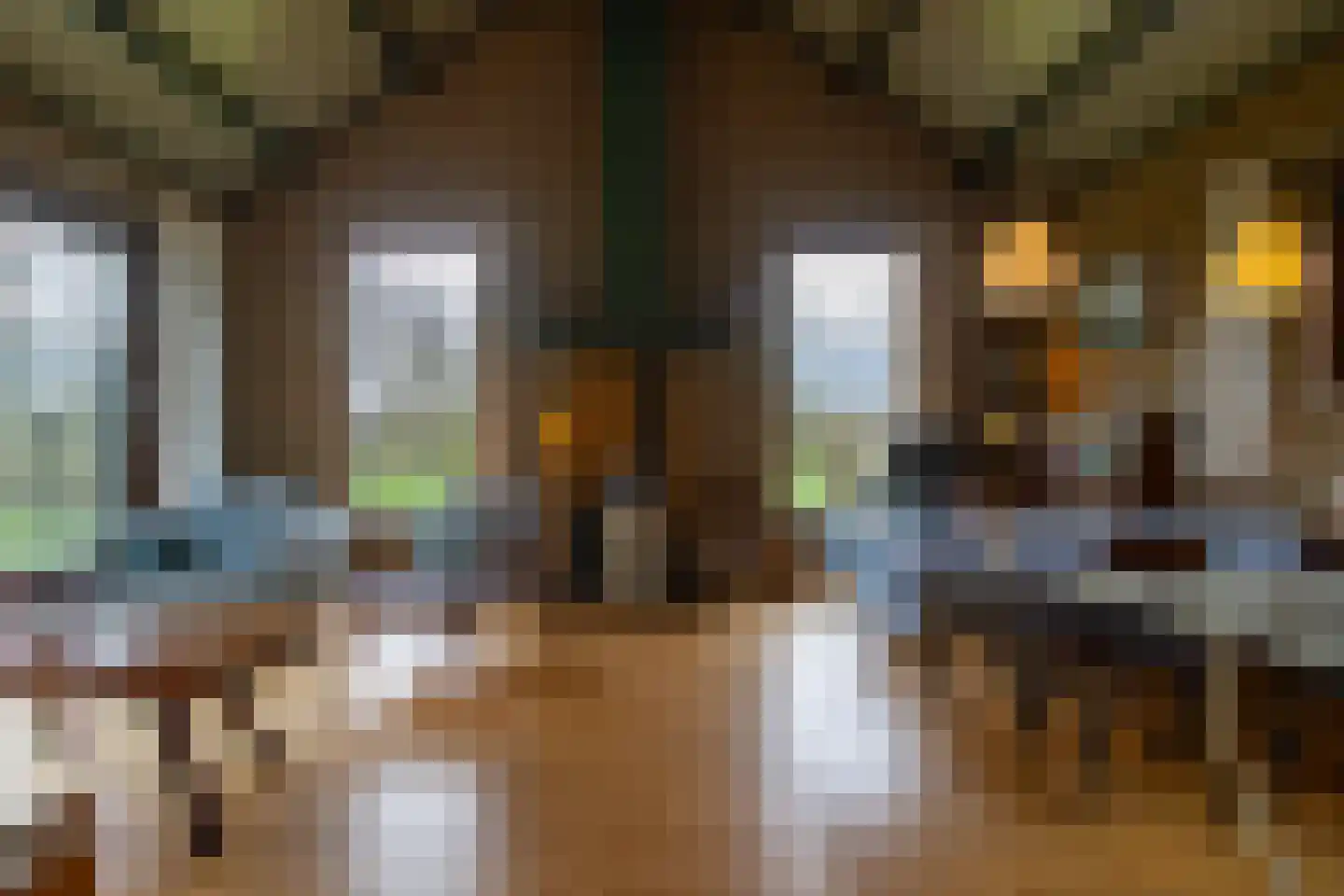 Koksbosweg 37 Formerum thumbnail 18