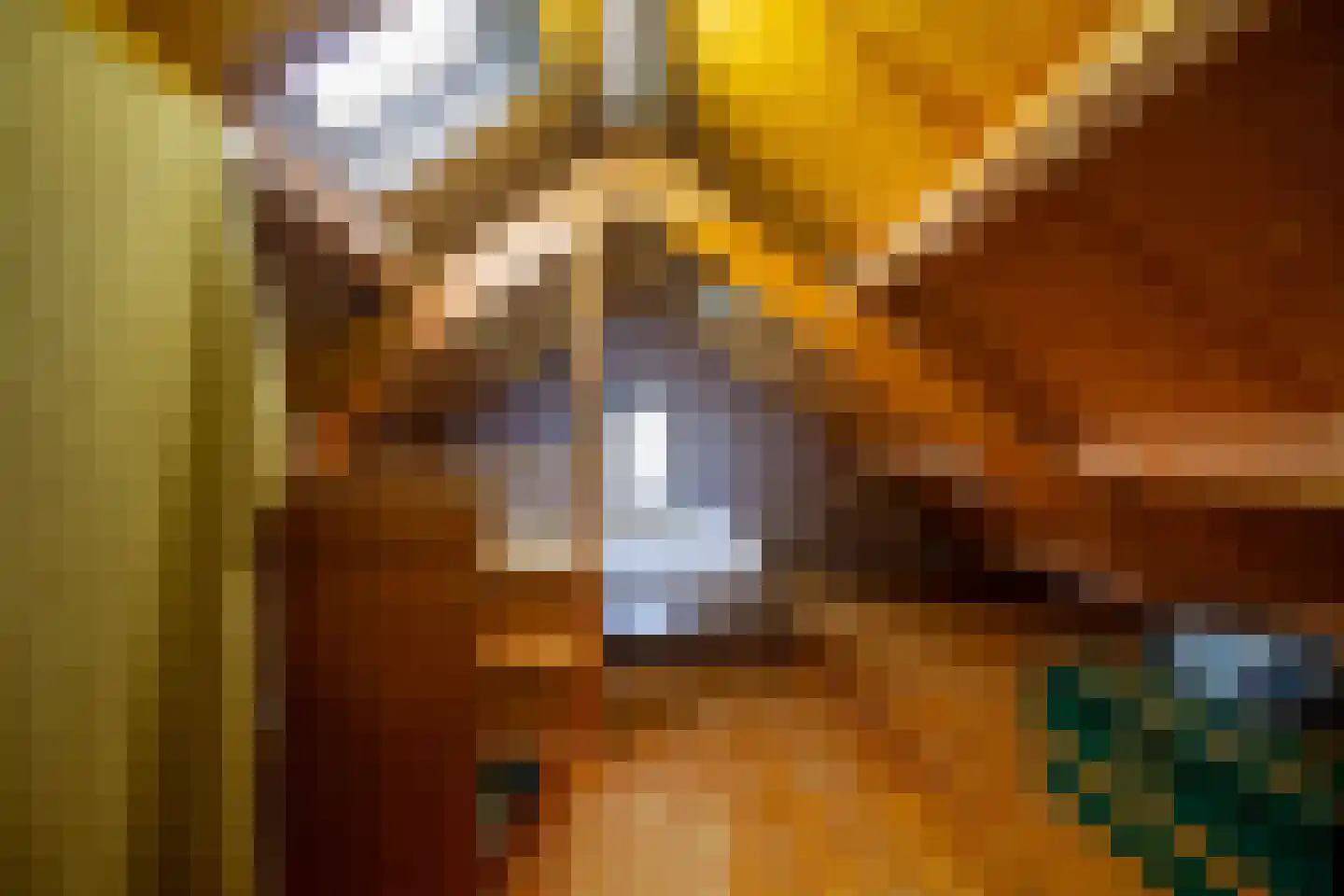 Koksbosweg 37 Formerum thumbnail 20