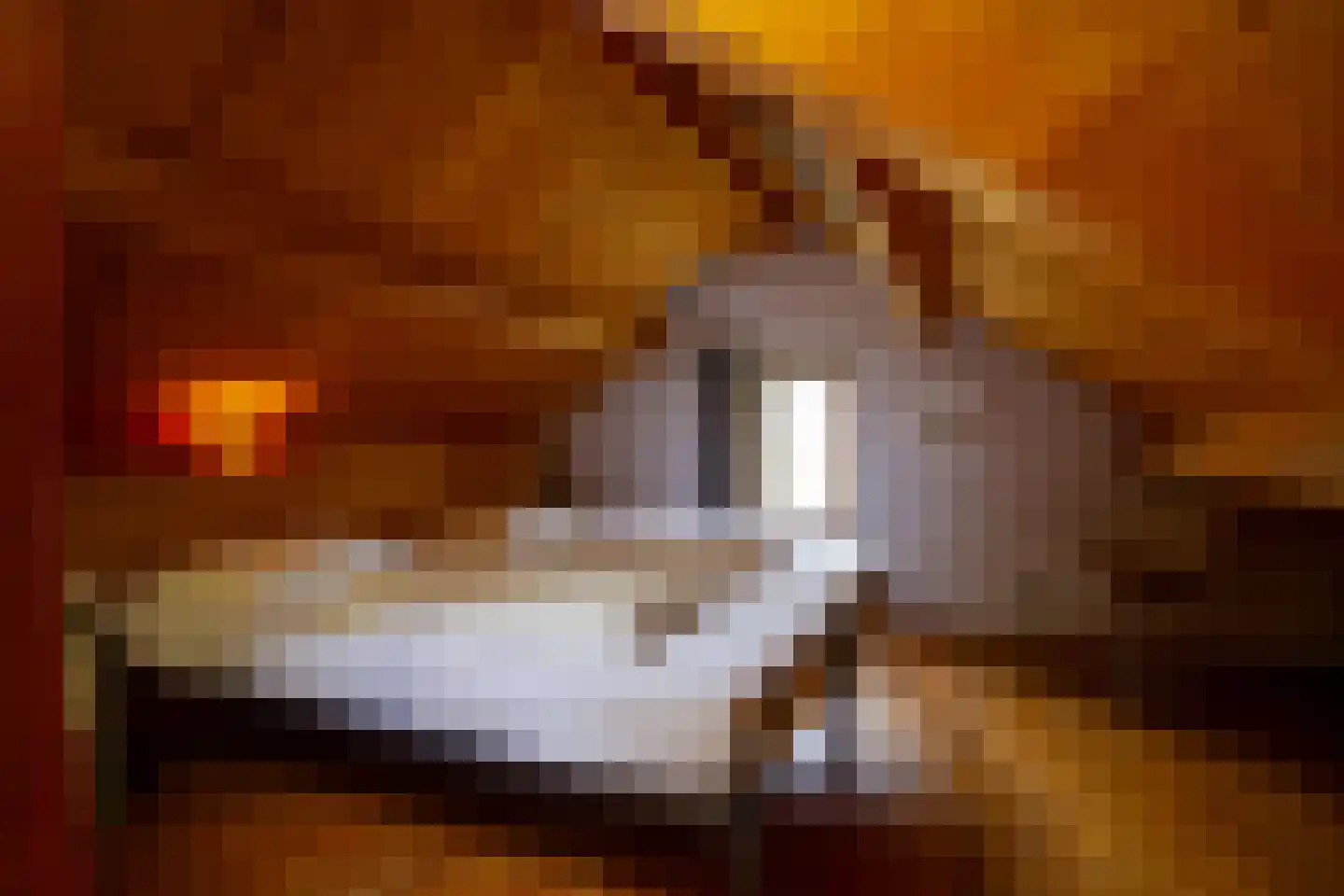 Koksbosweg 37 Formerum thumbnail 21