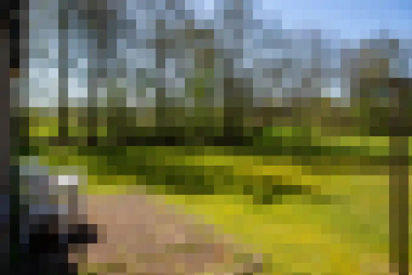 Koksbosweg 37 Formerum thumbnail 25