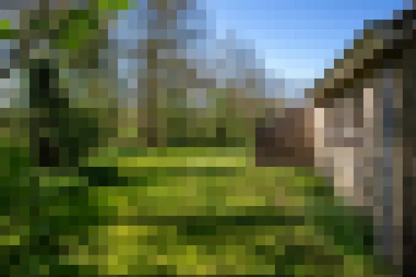 Koksbosweg 37 Formerum thumbnail 28